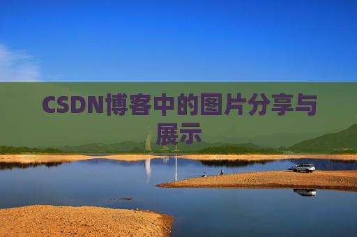 CSDN博客中的图片分享与展示